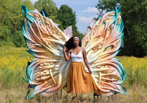 Joy Bradley Their Wildest Dreams